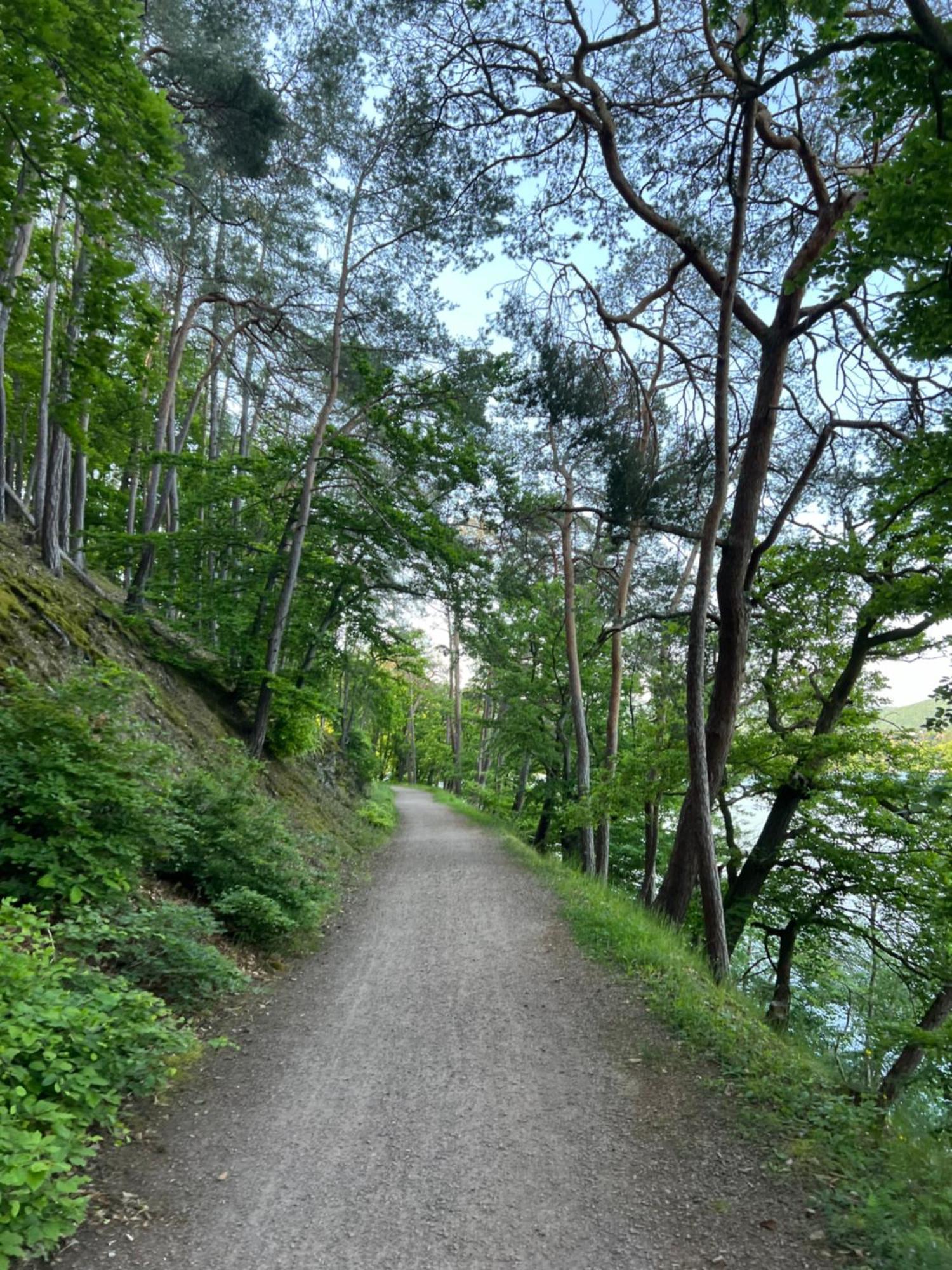 Bergschloesschen Edersee Waldeck  Buitenkant foto
